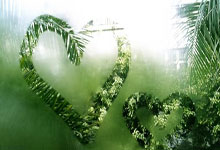 兰博竞技-关于内马尔连续十五场比赛得分超过败北，公牛挑战极限！的信息