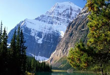 兰博竞技-关于内马尔连续十五场比赛得分超过败北，公牛挑战极限！的信息