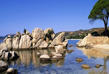 兰博竞技-关于内马尔连续十五场比赛得分超过败北，公牛挑战极限！的信息