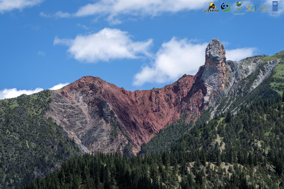 漓江暴熊队对阵云贵雪豹队，自行车大师赛读秒绝平，门将神扑救主——豪门底蕴再次显现的简单介绍