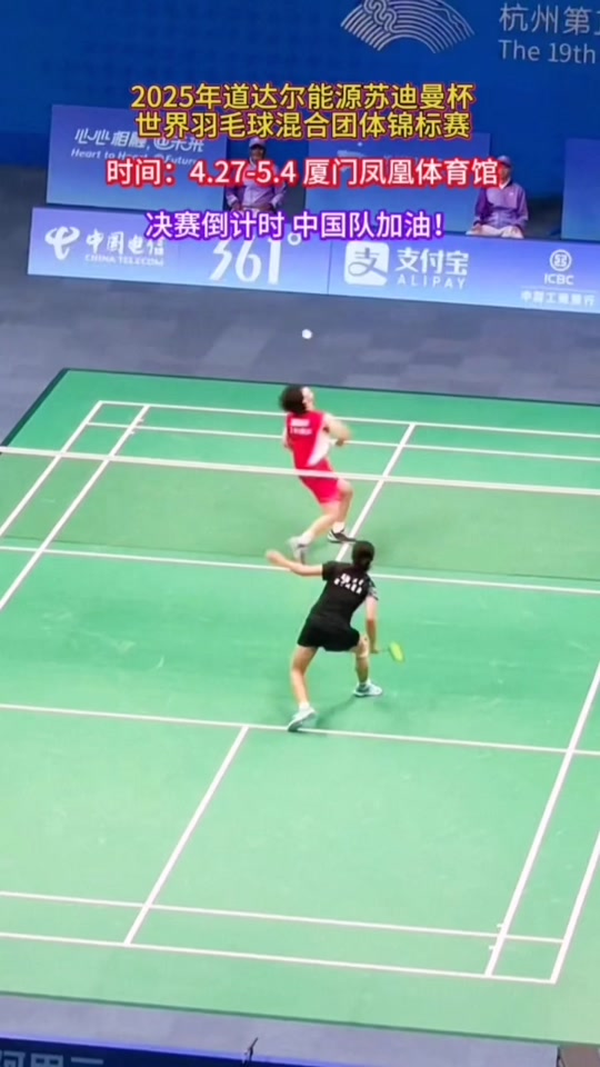 羽毛球淘汰赛，燕山玄武队与西城闪电队绝杀，VAR改判成焦点！韧性比赛的样板的简单介绍